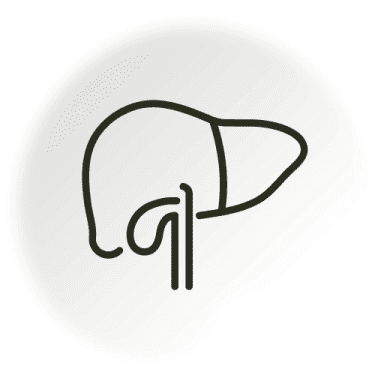 Primary Liver Cancer